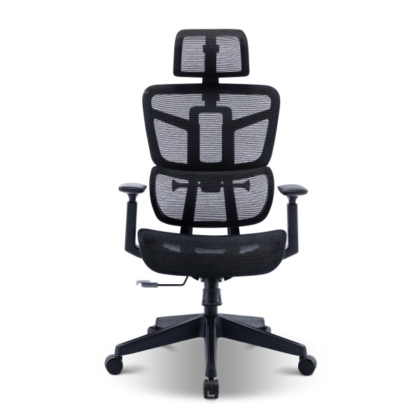 Dignis Office Chair (Black)