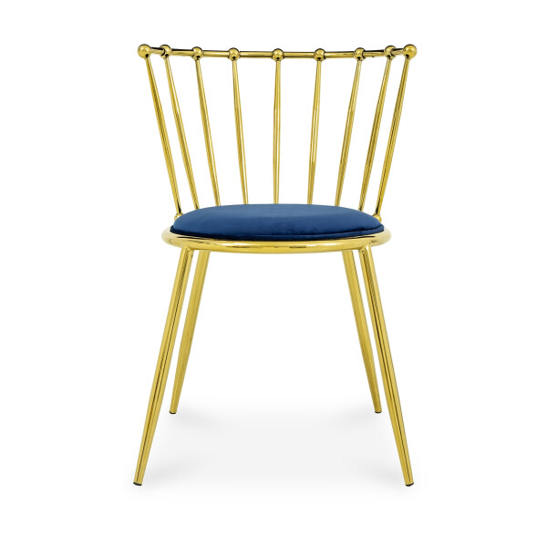 Leafhopper Chair (Blue)