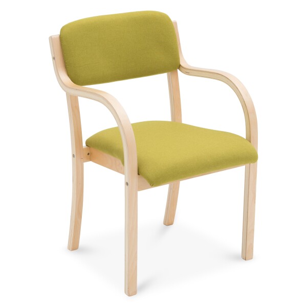 Zachery Dining Chair (Natural/Green)