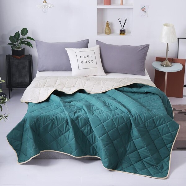Bedding Day - Soft Microfiber Solid 700TC Summer Comforter - Dark Cyan & Taupe