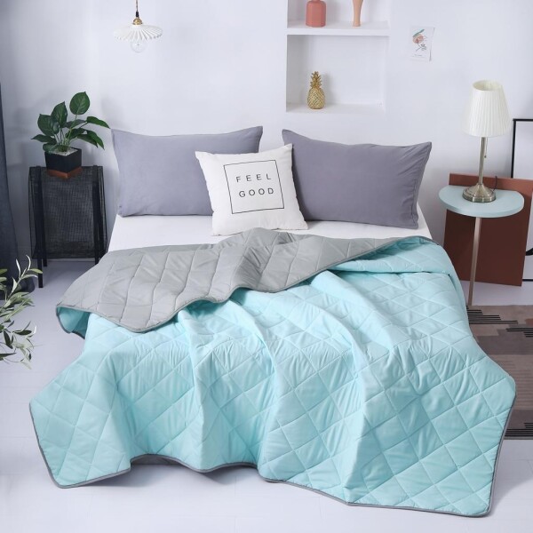 Bedding Day - Soft Microfiber Solid 700TC Summer Comforter - Ice Blue & Ash Grey