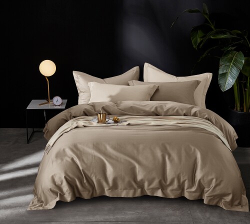 FyneLinen 100% Pima Cotton 900TC Bed Set (Burnished Copper)