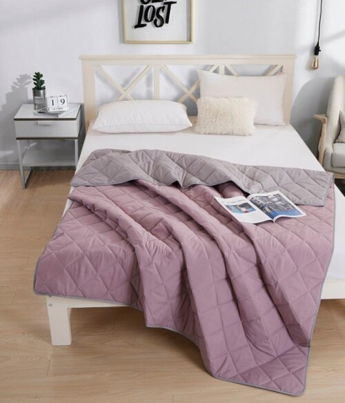 Bedding Day - Soft Microfiber Solid 700TC Summer Comforter - Lavender & Ash Grey