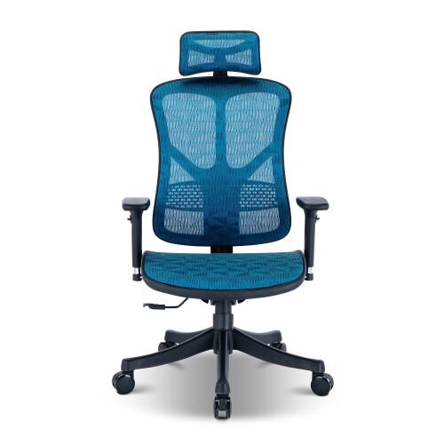 Entaire Office Chair (Blue)